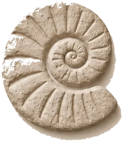 Portré